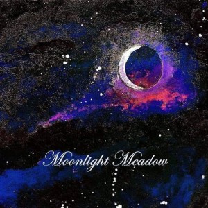 Moonlight Meadow