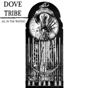 Dove Tribe